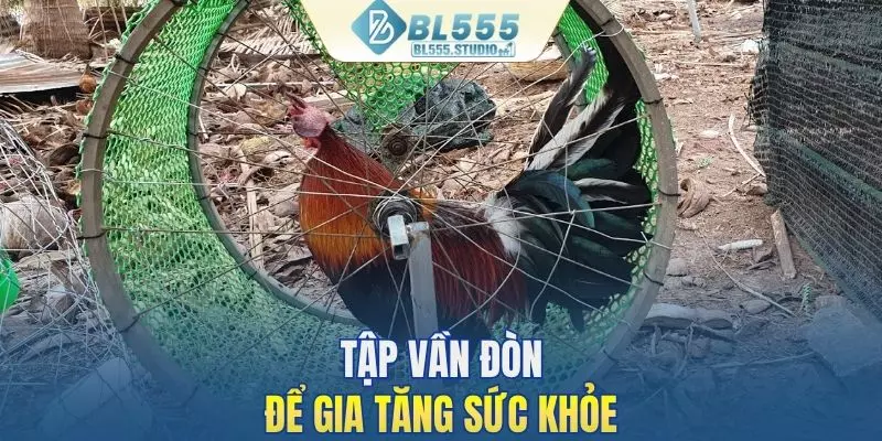 Om bóp, tập vần đòn thường xuyên để tăng sức khỏe